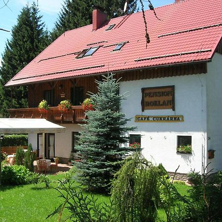 Pension Roklan Železná Ruda Kültér fotó